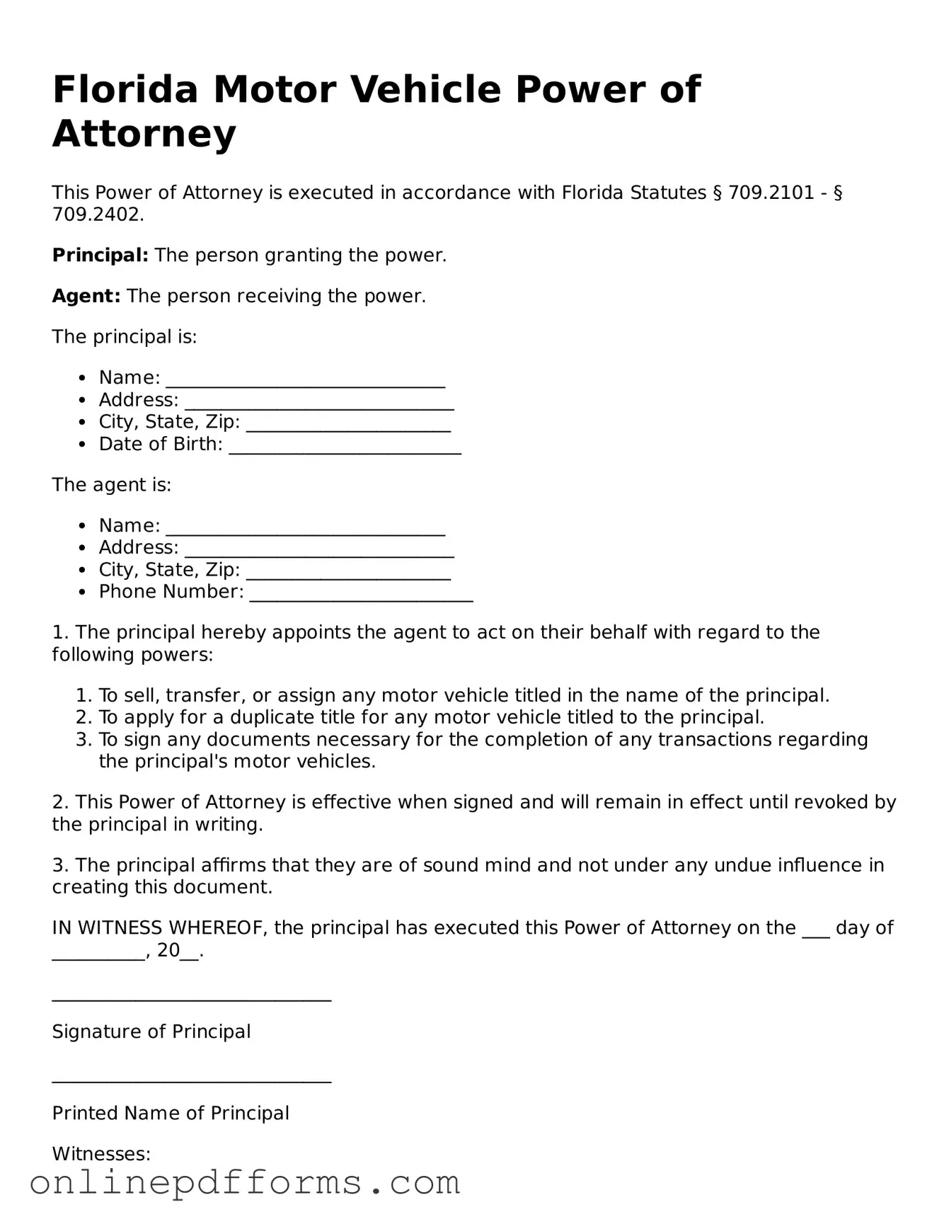 Blank Florida Motor Vehicle Power of Attorney Form