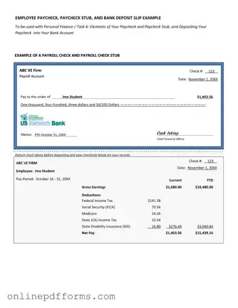 Fill in Your Payroll Check Template