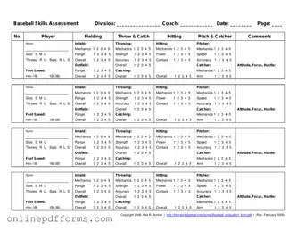 Fill in Your Baseball Assessment Template