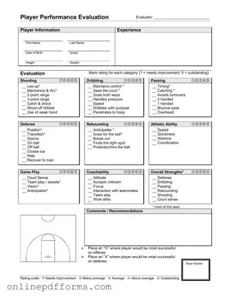 Fill in Your Basketball Evaluation Template