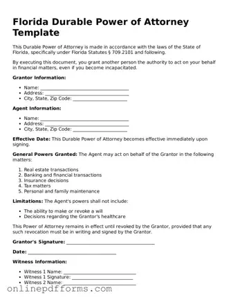 Blank Florida Durable Power of Attorney Form