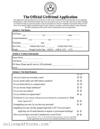 Fill in Your Girlfriend Application Template