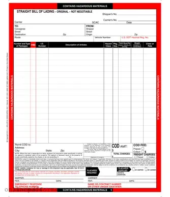 Fill in Your Hazard Bill Of Ladden Template