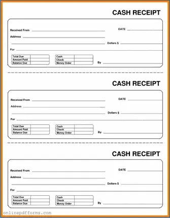 Fill in Your Cash Receipt Template