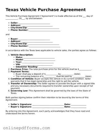 Blank Texas Vehicle Purchase Agreement Form