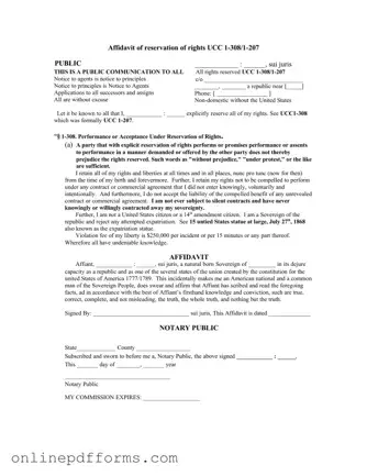 Fill in Your Ucc 1 308 Template